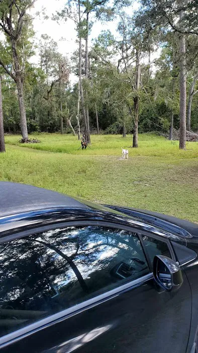 Coopers Bluff Campsite Picture 6