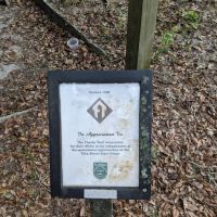 Coopers Bluff Campsite ico