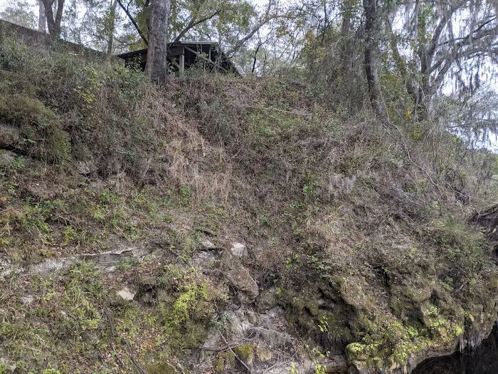 Coopers Bluff Campsite Picture 5