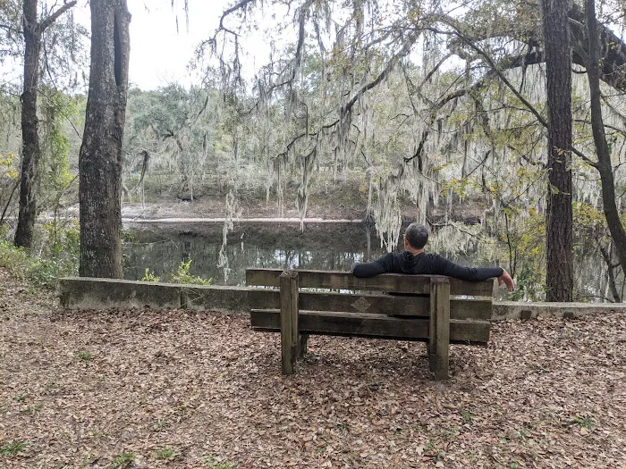 Coopers Bluff Campsite Picture 3