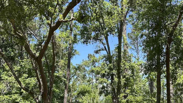 Hamilton Compound Picture 4