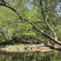 Hamilton Compound ico