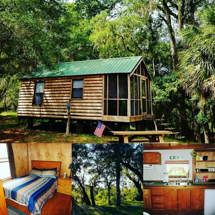 The Suwannee Cove Picture 3