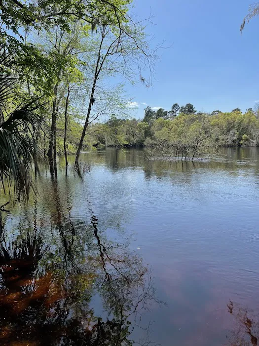 The Suwannee Cove Picture 6