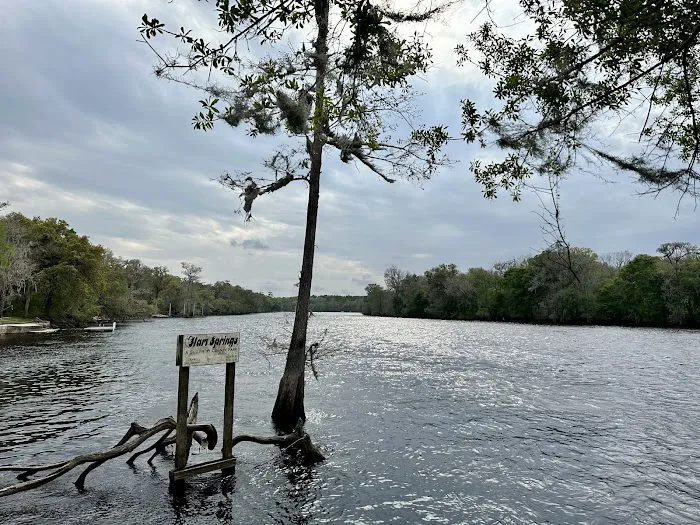 Hart Springs RV Campground Picture 4