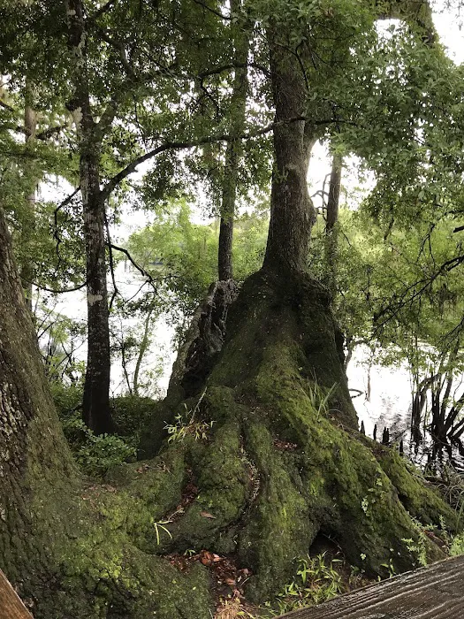 Hart Springs RV Campground Picture 1