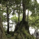 Hart Springs RV Campground