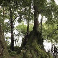 Hart Springs RV Campground ico