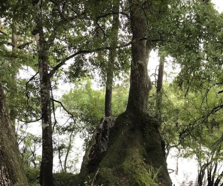 Hart Springs RV Campground