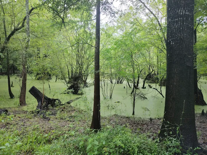 Hart Springs RV Campground Picture 7