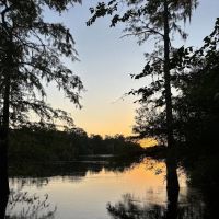 Peacock Slough River Camp ico