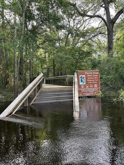 Peacock Slough River Camp Picture 6