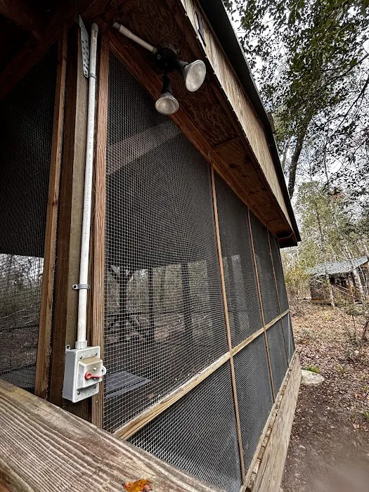 Peacock Slough River Camp Picture 8