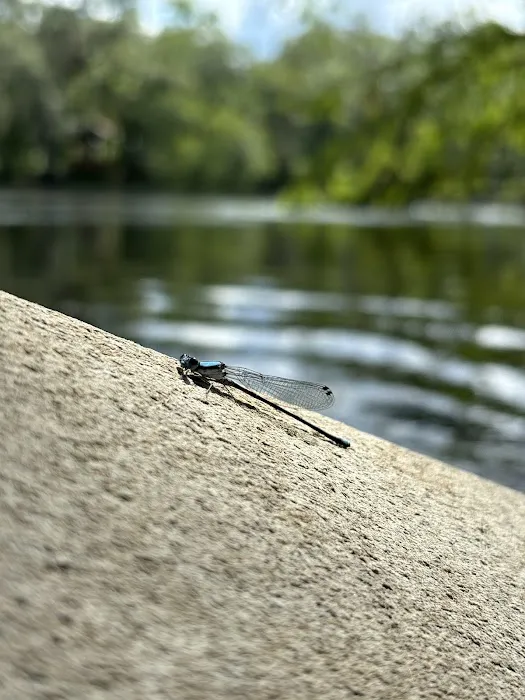 Peacock Slough River Camp Picture 5