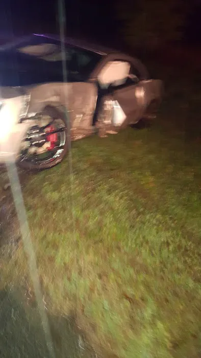 Agriculture Forestry Department Picture 1