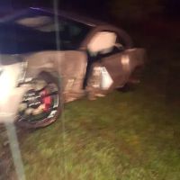 Agriculture Forestry Department ico