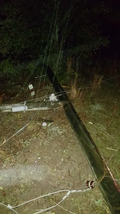 Agriculture Forestry Department Picture 6