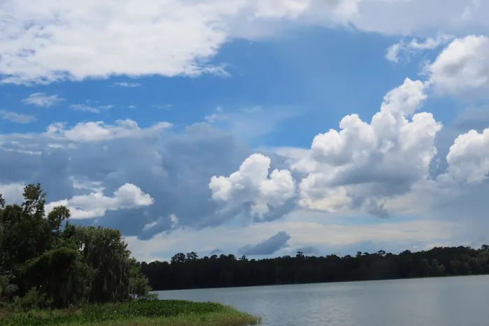 Puc Puggy Picture 10