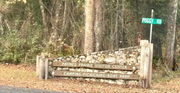 Paynes Prairie Camping Picture 6