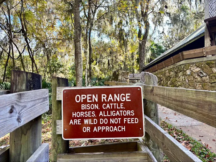 Paynes Prairie Camping Picture 9
