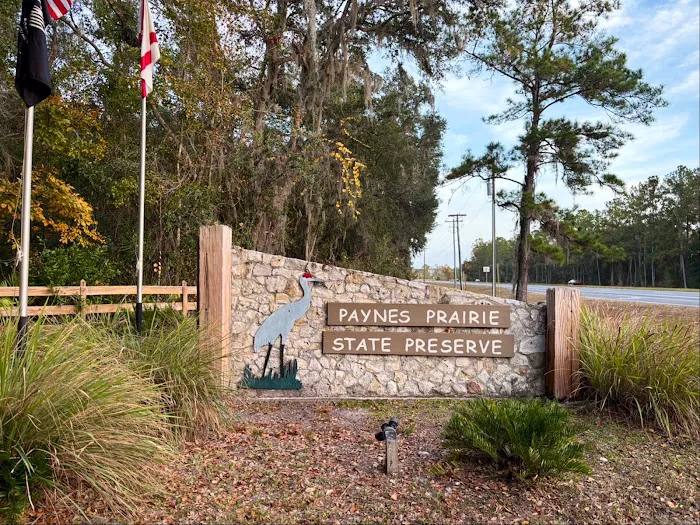 Paynes Prairie Camping Picture 4