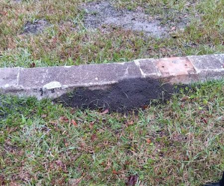 Daytona Bike Week Camping