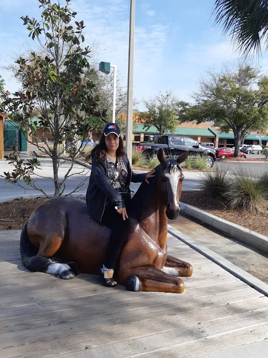 The Ranch Picture 10