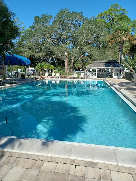 Encore Sunshine Holiday Daytona Picture 2