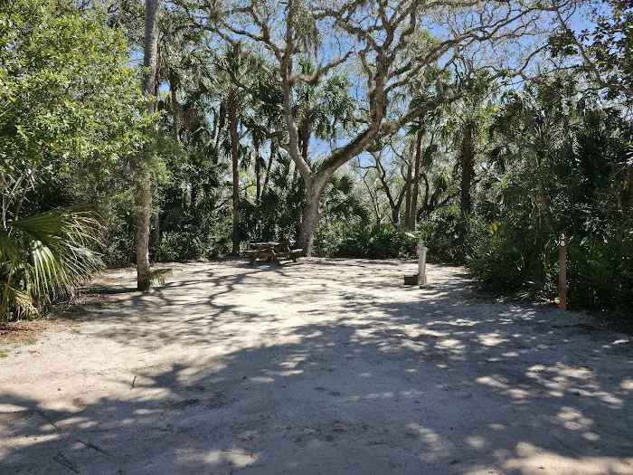 Tomoka State Park Campground Picture 8