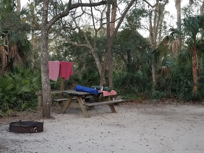Tomoka State Park Campground Picture 3