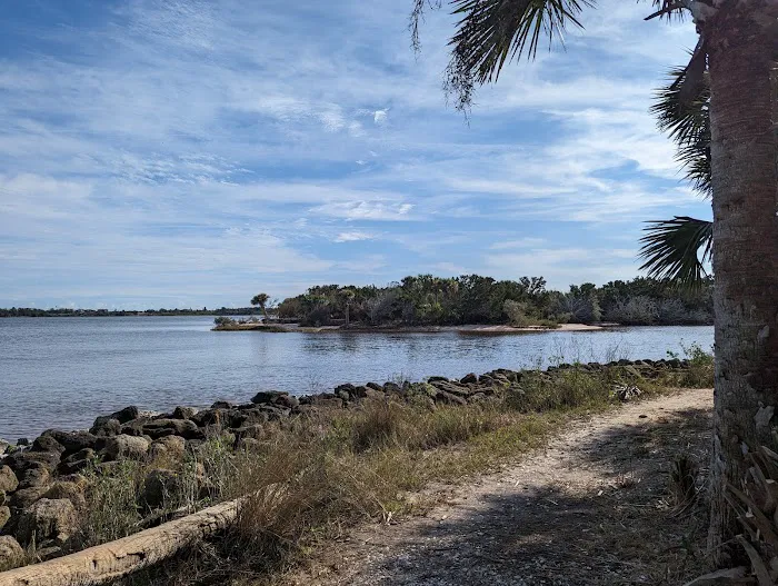 Tomoka State Park Campground Picture 5
