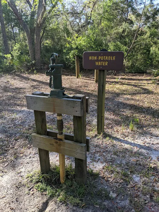 Tram Road Equestrian Campground Picture 7