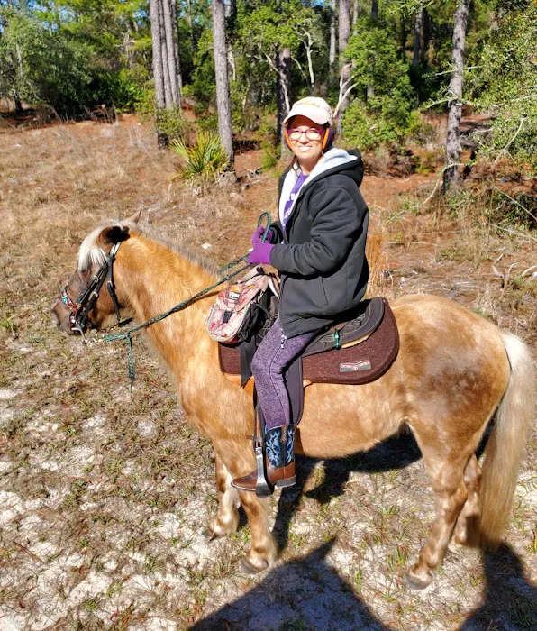 Tram Road Equestrian Campground Picture 4