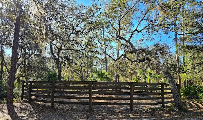 Tram Road Equestrian Campground Picture 10