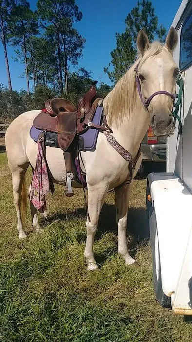 Tram Road Equestrian Campground Picture 1