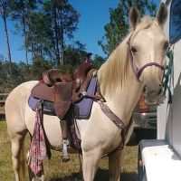 Tram Road Equestrian Campground ico