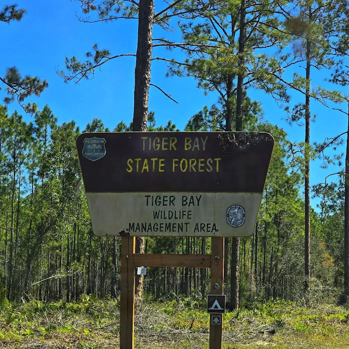 Tram Road Equestrian Campground Picture 9