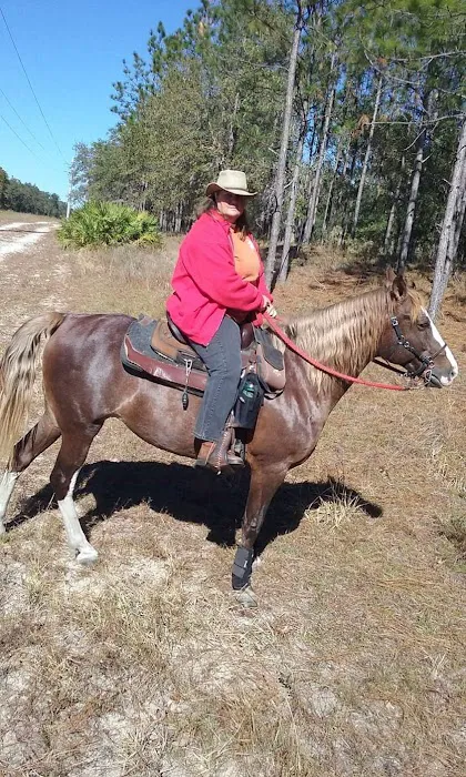 Tram Road Equestrian Campground Picture 5