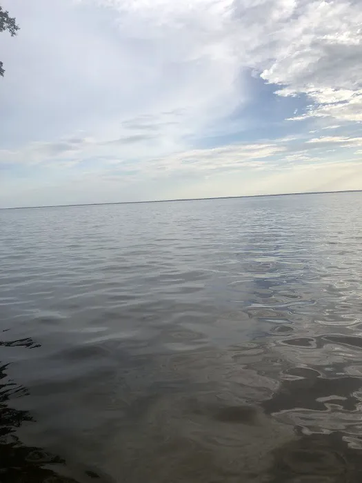 Lake George Barrs Hammock Campsite of St Johns River WMD Picture 5