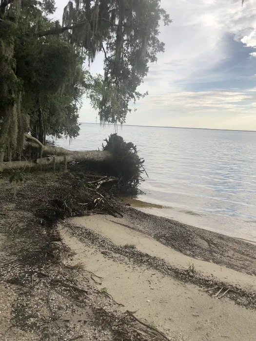 Lake George Barrs Hammock Campsite of St Johns River WMD Picture 6