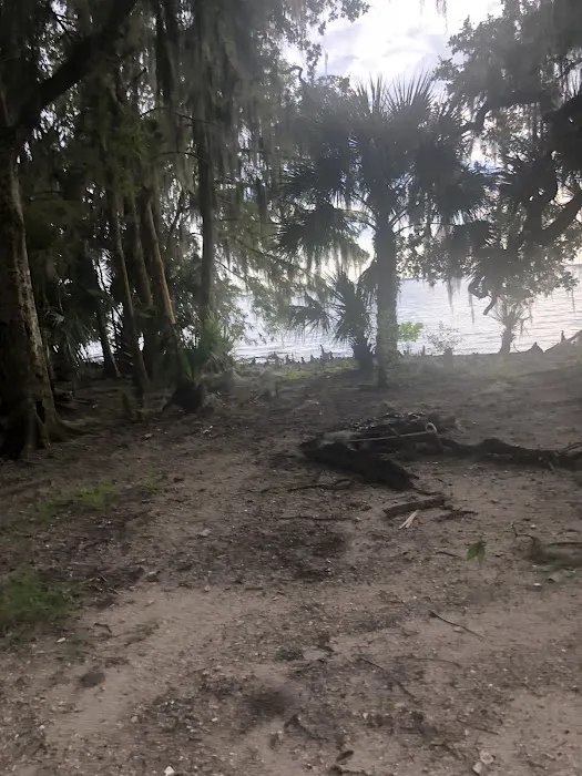 Lake George Barrs Hammock Campsite of St Johns River WMD Picture 3