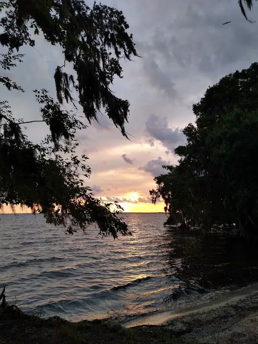 Lake George Barrs Hammock Campsite of St Johns River WMD Picture 7