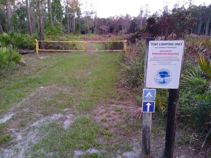 Lake George Barrs Hammock Campsite of St Johns River WMD Picture 9