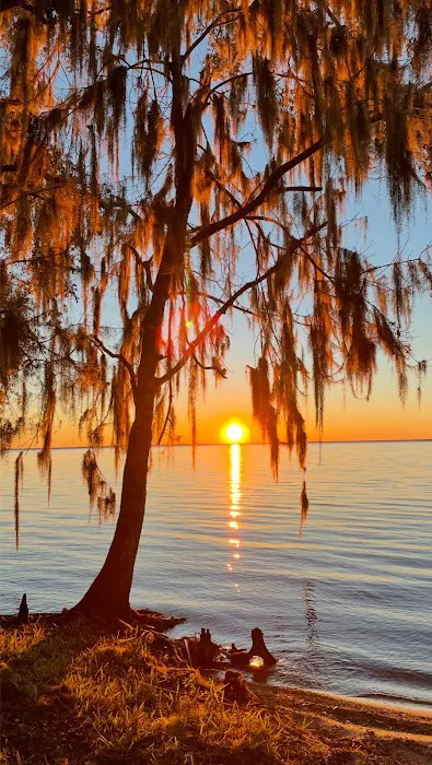 Lake George Barrs Hammock Campsite of St Johns River WMD Picture 10