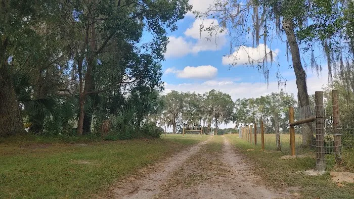 Quad Palms Rad Ranch Picture 3