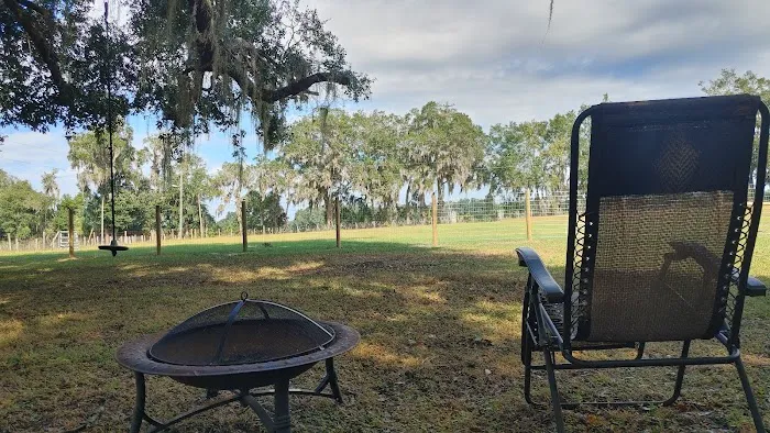 Quad Palms Rad Ranch Picture 4