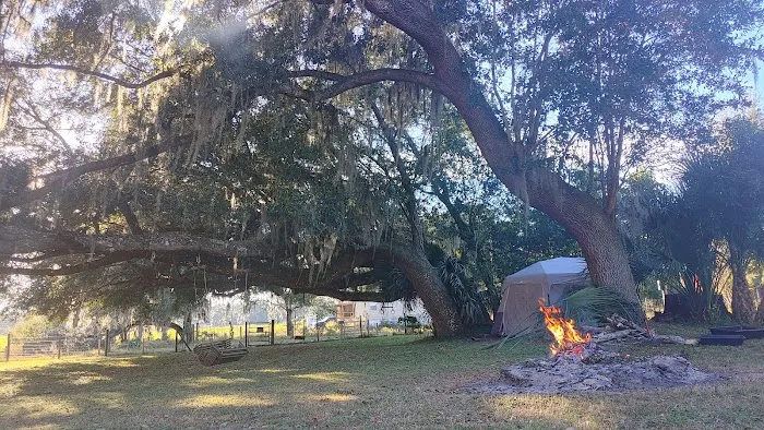 Quad Palms Rad Ranch Picture 2