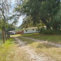 Quad Palms Rad Ranch ico