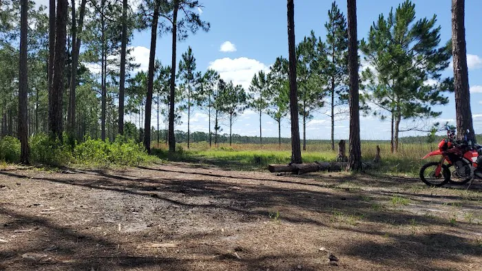 Hopkins Prairie Campground Picture 5