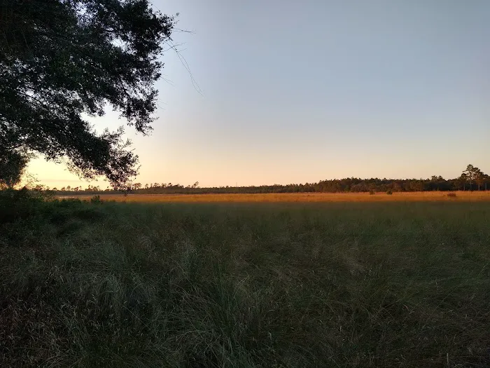 Hopkins Prairie Campground Picture 1